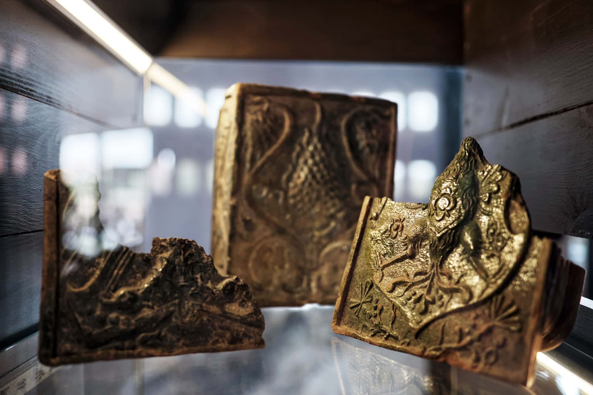 Nuotraukoje pavaizduoti kiokliai